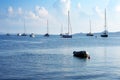 Yachts in the Gulf of Arzachena near Cannigione, Sardinia, Italy Royalty Free Stock Photo