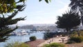 Yachts in harbor or bay, Monterey marina, Old Fishermans Wharf, California coast Royalty Free Stock Photo