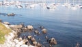 Yachts in harbor or bay, Monterey marina, Old Fishermans Wharf, California coast Royalty Free Stock Photo