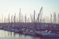 Yachts in harbour