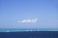 Yachts in lagoon, Mo'orea, Society Islands, French Polynesia