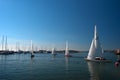 Yachts leaving the Hanko harbor