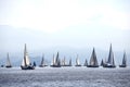 Yachts are lined up and sailing for the regatta. Royalty Free Stock Photo