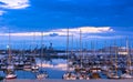 Yachts in a marina