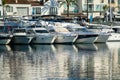 Yachts marina on sunrise in Banus, Marbella, Spain Royalty Free Stock Photo