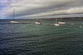 Yachts on monterey bay