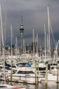 Yachts moored in Auckland marina