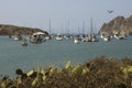 Yachts Moored at Catalina Harbor Royalty Free Stock Photo