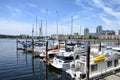 Yachts moored in marina in Victoria downtown. Inner Harbour on bright sunny day, city buildings in the background. Victoria,