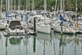 Yachts and motor boats docked in Half Moon Bay marina on a calm day Royalty Free Stock Photo