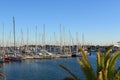 Yachts and sail boats in La Marina de Valencia. Royalty Free Stock Photo