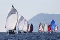 Yachts with opened spinnaker in perspective coming to buoy. Royalty Free Stock Photo