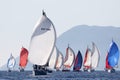 Yachts opened spinnaker in a perspective and coming to buoy. Royalty Free Stock Photo