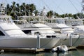 Yachts parked at dock