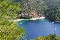 Yachts at the pier and beach on Mediterranean Turkish resort, Fethiye, Turkey Focus is on pine tree Royalty Free Stock Photo