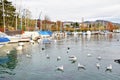 Yachts at Port de Pully Habor , Lake Geneva , Switzerland