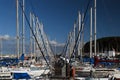 Yachts in port of Horta Royalty Free Stock Photo