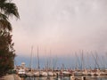 Yachts in port with palm trees in Sitges, Spain Royalty Free Stock Photo