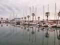 Yachts in port with palm trees in Sitges, Spain Royalty Free Stock Photo