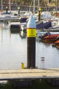 Yachts and power boats on their moorings in the modern marina in Bangor County Down Northern Ireland