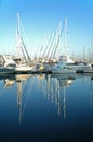 Yachts with Reflection