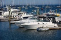 Yachts at Rockland, Maine