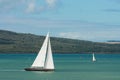 Yachts sailing in Hauraki Gulf Royalty Free Stock Photo