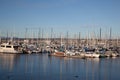 yachts and sailing ships in the harbor of Monterey, USA