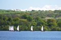 Yachts sailing in summer lake colourful sail blown in wind at race