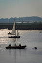 Yachts sailing at sunset Royalty Free Stock Photo