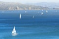 Yachts in San Francisco bay Royalty Free Stock Photo