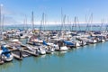 Yachts in San Francisco harbor