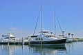 Yachts in Sarasota Bay