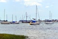 Yachts in Sarasota Bay