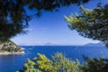 Yachts with sea views, trees in the foreground