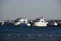 Yachts and ships on the Red Sea- Hurghada-Egypt 1102