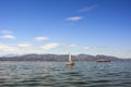 Yachts and a small ship sail across the sea against the background of distant mountains and a blue sky Royalty Free Stock Photo