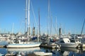 Yachts At Southport Marina Gold Coast Royalty Free Stock Photo