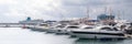 Speed boats at harbor. Power boats moored in marina. Sea coast pier Royalty Free Stock Photo