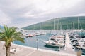 Yachts stand in rows along the piers of a luxurious marina against the backdrop of green mountains