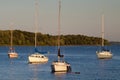 Yachts at sunset