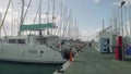 Palma De Mallorca, Spain - circa November 2017: yachts Viva Yacht Charter & Broker patone in La Lonja Marina Charter in