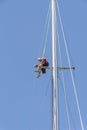 Yachtsman working up the mast of a racing yacht. Royalty Free Stock Photo