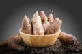 Yacon roots on a bowl Royalty Free Stock Photo