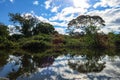 Yacuma river. Bolivian jungle. Royalty Free Stock Photo