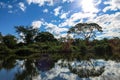 Yacuma river. Bolivian jungle. Royalty Free Stock Photo