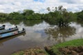 Yacuma river. Bolivian jungle Royalty Free Stock Photo