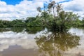 Yacuma river. Bolivian jungle. Royalty Free Stock Photo