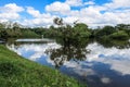 Yacuma river. Bolivian jungle. Royalty Free Stock Photo