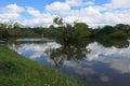 Yacuma river. Bolivian jungle. Royalty Free Stock Photo